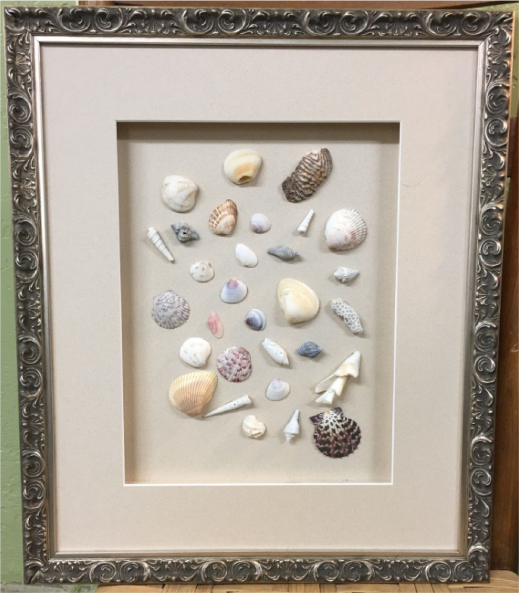 A Frame Shoppe – Custom Framing & Antiques